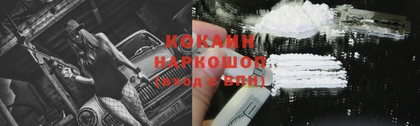 индика Волоколамск