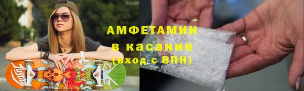 индика Волоколамск