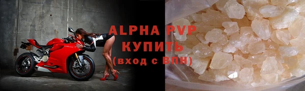 индика Волоколамск