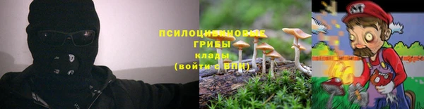 СК Слюдянка