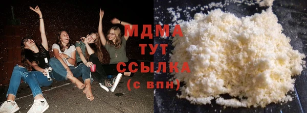 индика Волоколамск