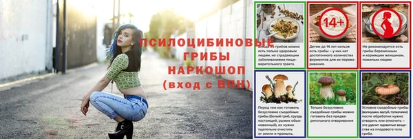 мяу мяу мука Снежинск
