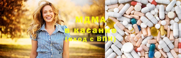 индика Волоколамск