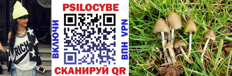 купить   Карачев  Галлюциногенные грибы GOLDEN TEACHER 